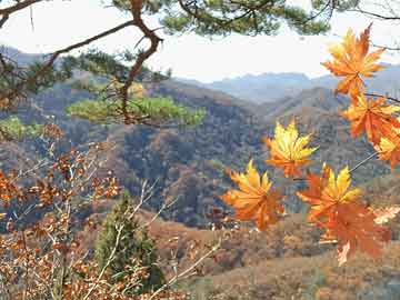 草破苍穹-草破苍穹全文免费阅读无弹窗